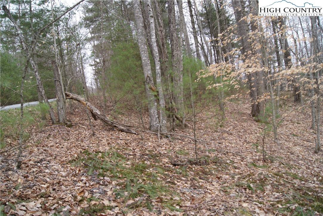 Sparta, NC 28675,Lot 75 Forest Hill DR