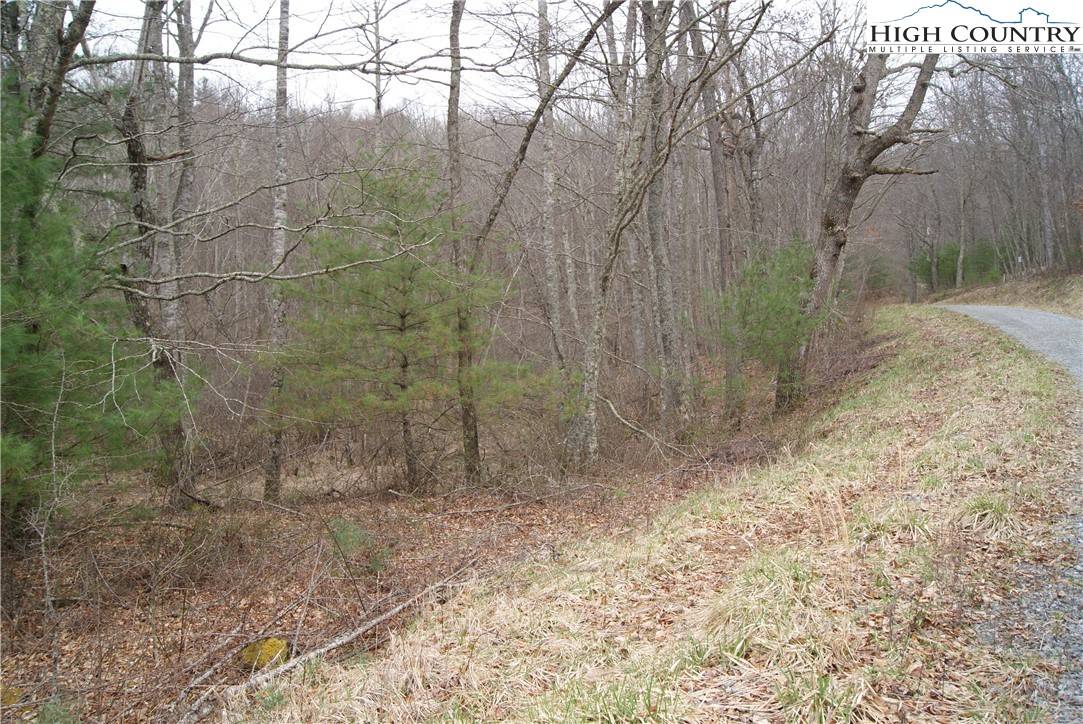 Sparta, NC 28675,Lot 69 Laurel Mountain DR