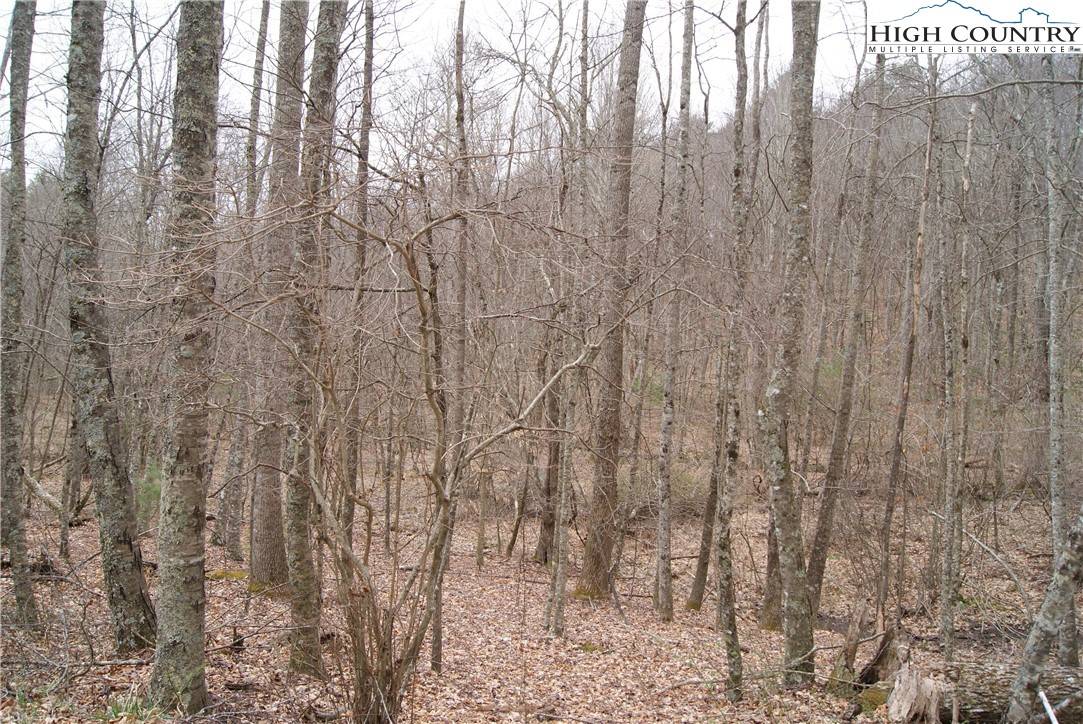 Sparta, NC 28675,Lot 69 Laurel Mountain DR