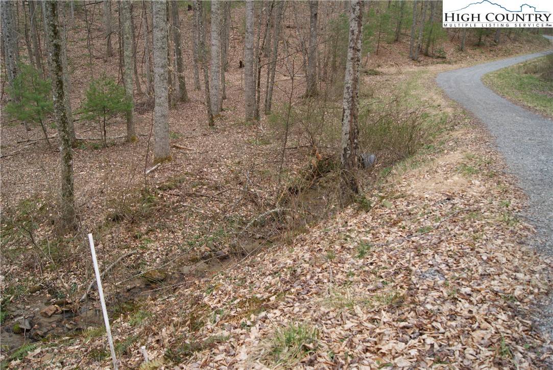 Sparta, NC 28675,Lot 67 Laurel Mountain DR