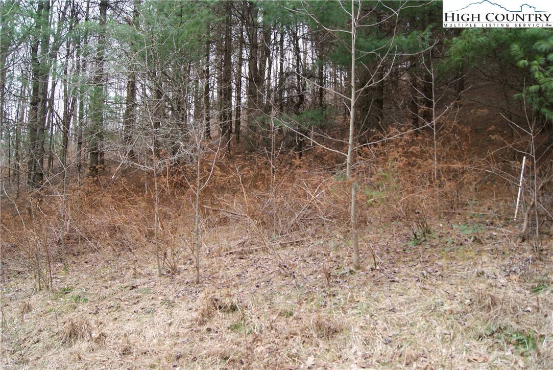 Sparta, NC 28675,Lot 62 Laurel Mountain DR