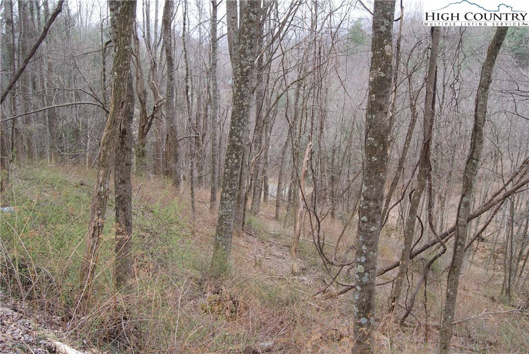 Sparta, NC 28675,Lot 56 Toms Knob RD