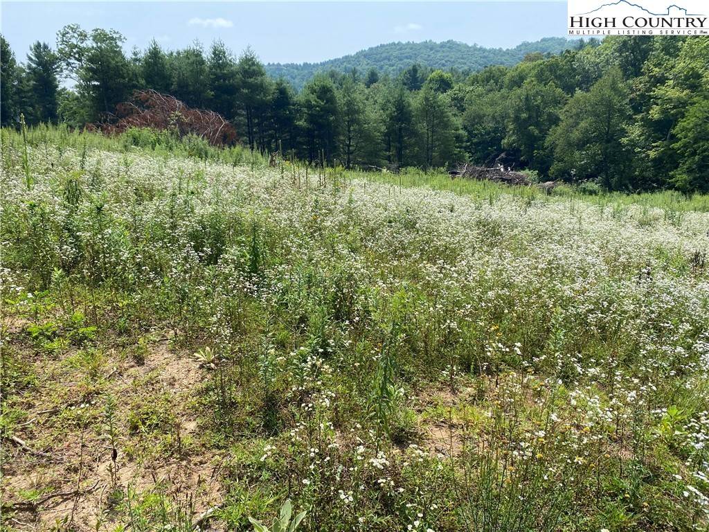 West Jefferson, NC 28694,16 Lots Hidden Spring RD