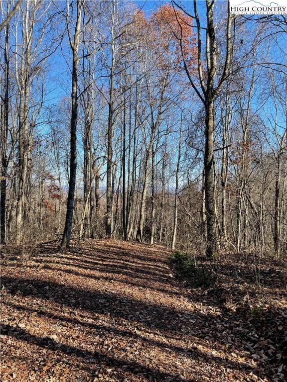 Grassy Creek, NC 28631,TBD Highland Trail (Lot 7)