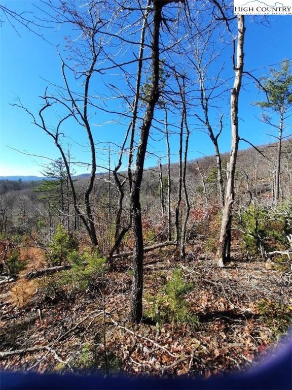 Lenoir, NC 28645,Lot 25 Dugger Firetower RD