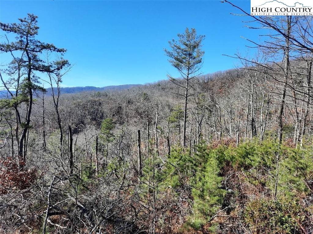 Lenoir, NC 28645,Lot 25 Dugger Firetower RD
