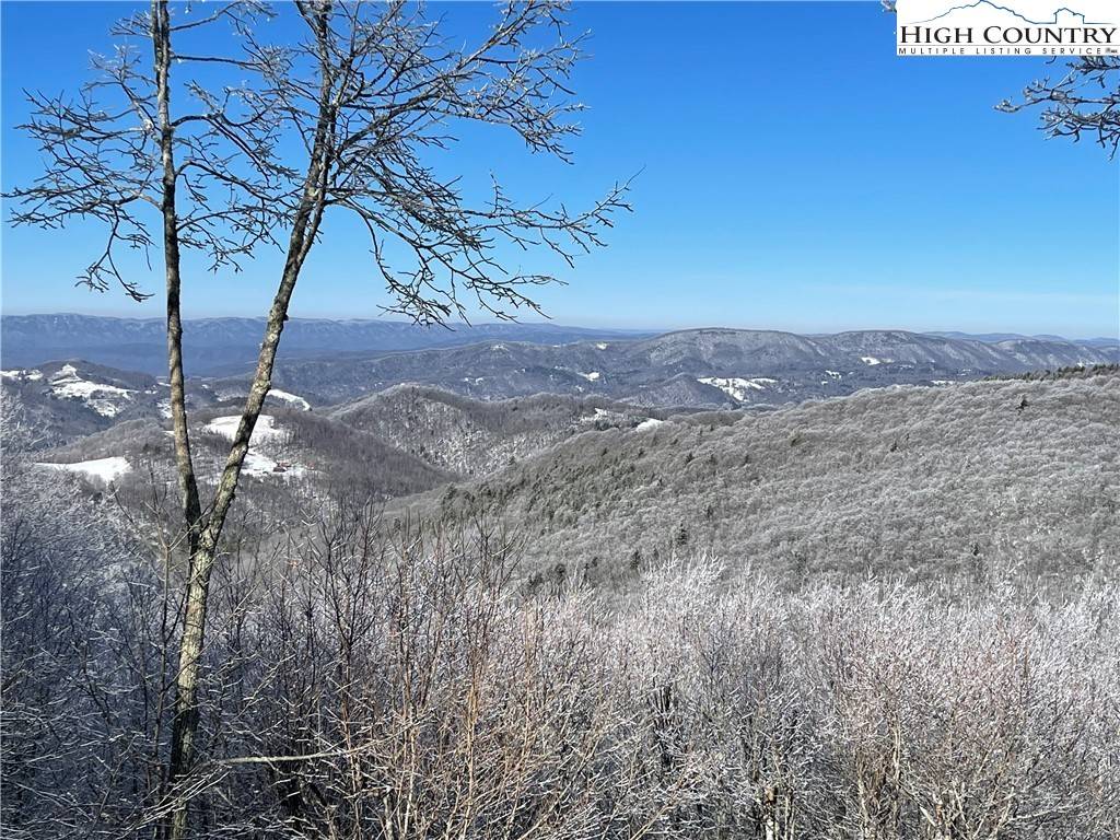 Beech Mountain, NC 28604,147 W Blueberry LN