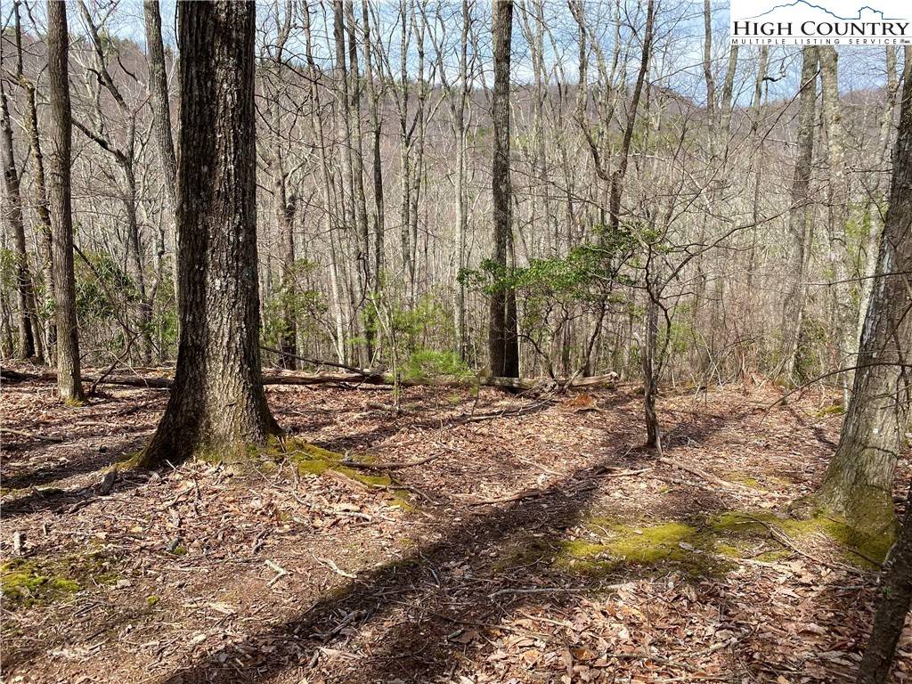 Fleetwood, NC 28694,Lot 19/20 Creekside DR