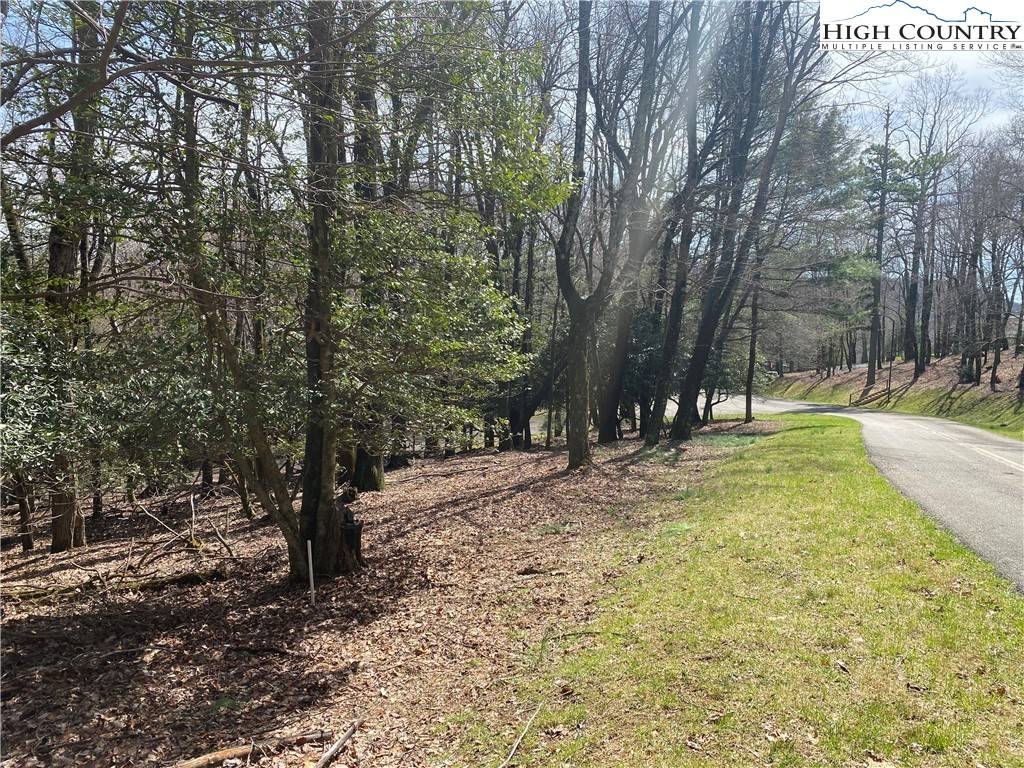 Roaring Gap, NC 28627,Lot 6 Hickory Hill LN