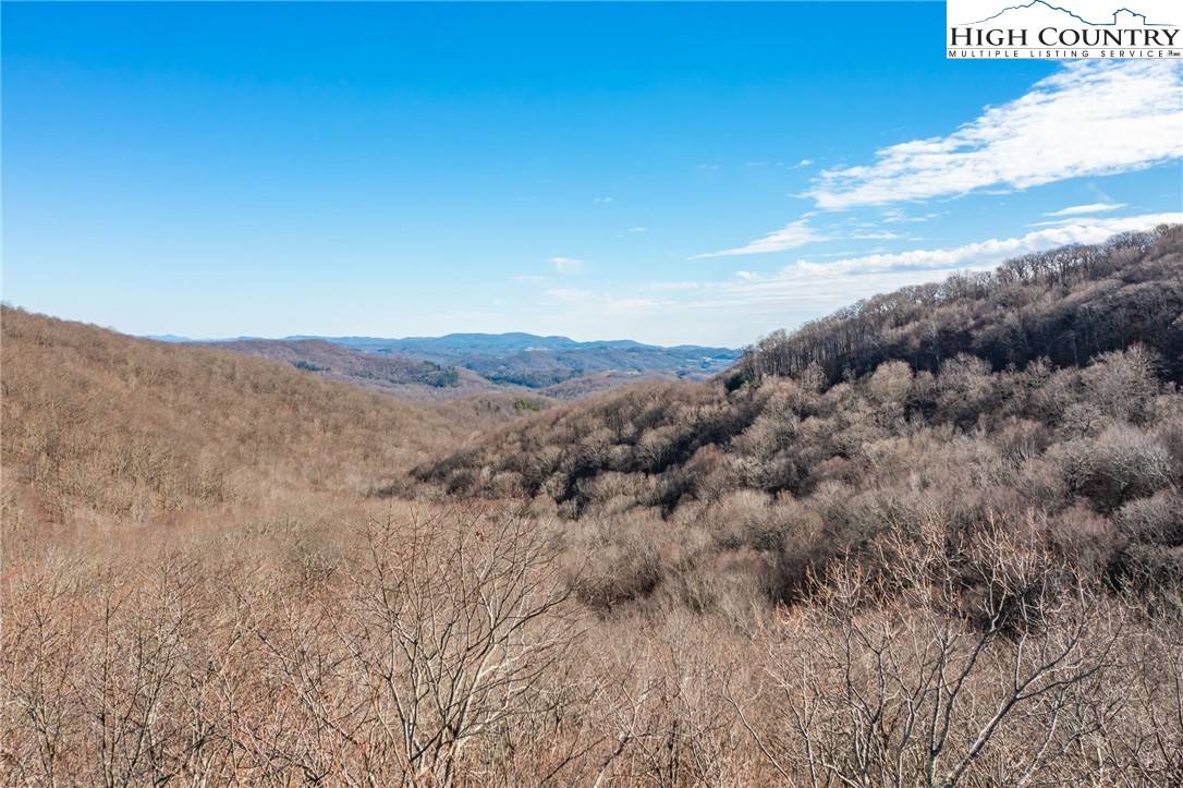 Boone, NC 28607,Lot 65 Madisyn Oaks LN