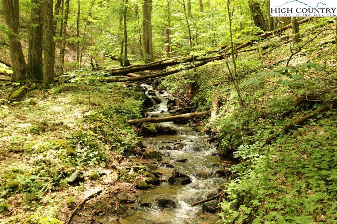 Boone, NC 28607,Lot 65 Madisyn Oaks LN