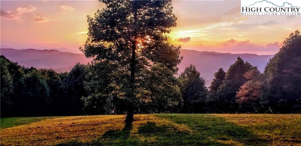 Zionville, NC 28698,TBD Tangled Stone DR