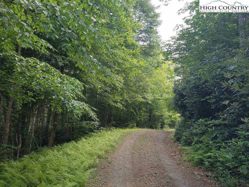 Ennice, NC 28623,TBD Crestview Mountain DR