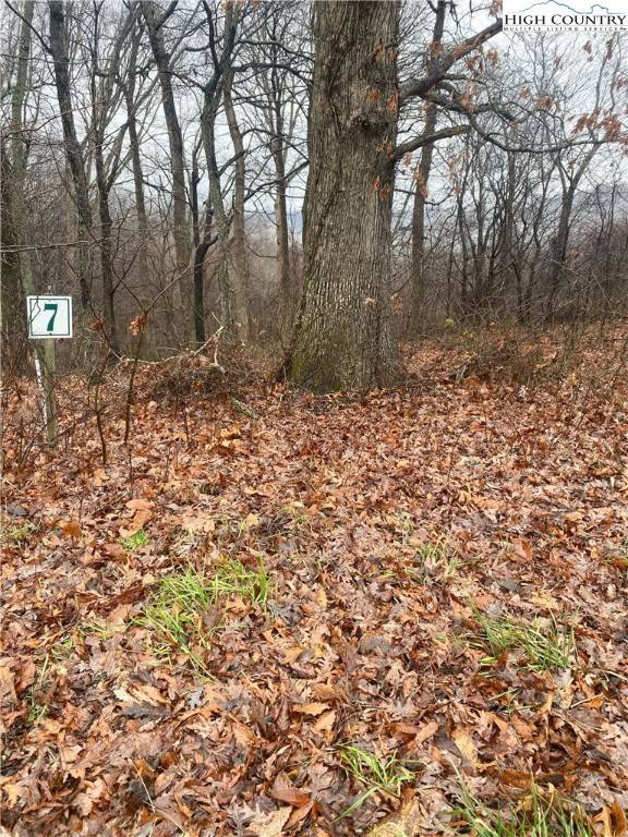Sparta, NC 28675,Lot #7 Tom's Knob