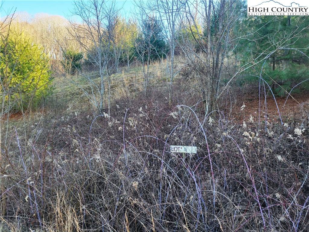 Laurel Springs, NC 28644,Lot 5 Terra Vista DR