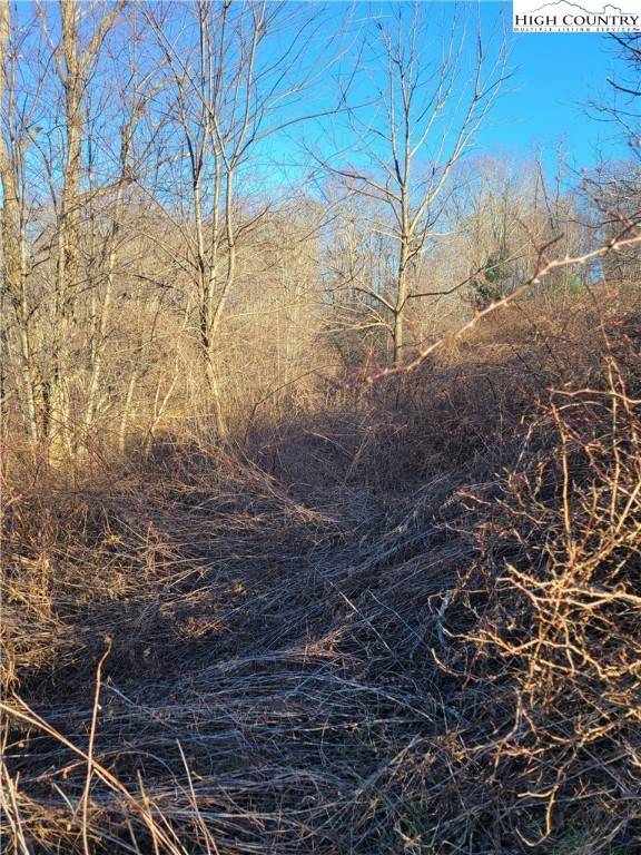 Laurel Springs, NC 28644,Lot 7 Terra Vista DR