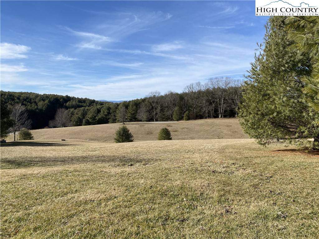 Sparta, NC 28675,Lot 25 Bear Den RD