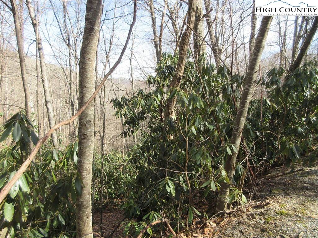 Blowing Rock, NC 28605,Lot 14 Saul's Camp RD