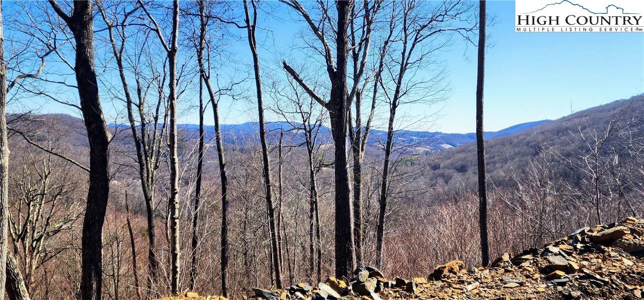 Boone, NC 28607,LOT 23 Bob Timberlake DR