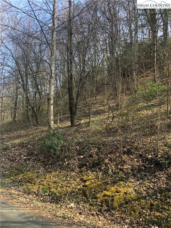 Grassy Creek, NC 28631,Lot 7 TBD Dream Mountain RD