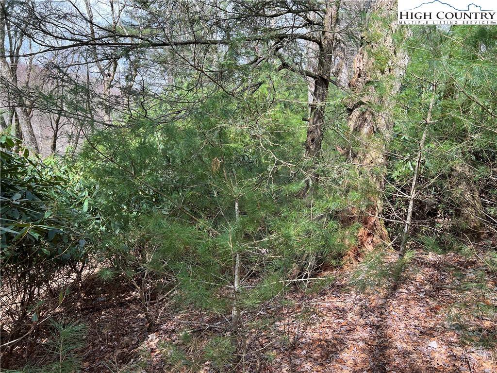Blowing Rock, NC 28605,Lot 3 Cora's PATH