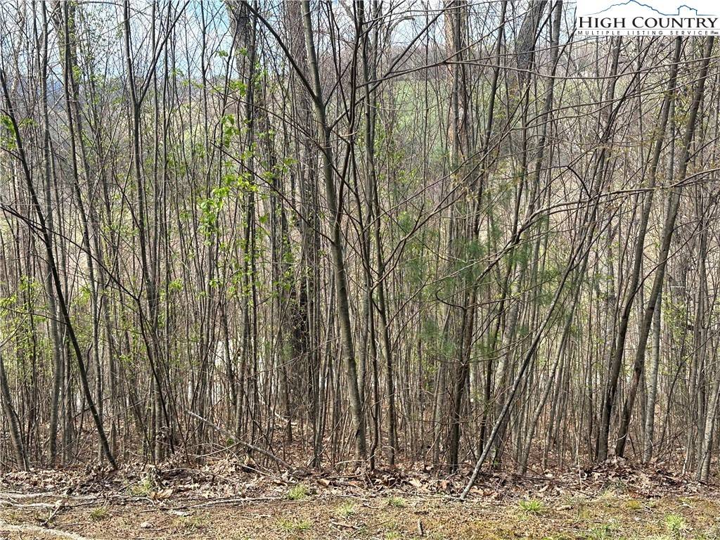 Jefferson, NC 28640,TBD (Lot 24) E Landing Ridge CIR