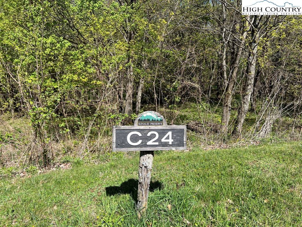 Zionville, NC 28698,Lots C24 & C33 Buffalo Nvno