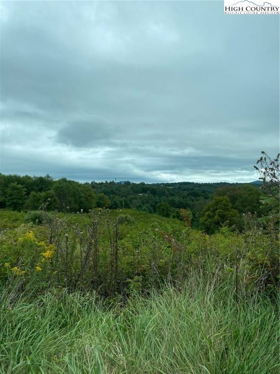 Sparta, NC 28675,Lot #17 Fox Trot Lane LN
