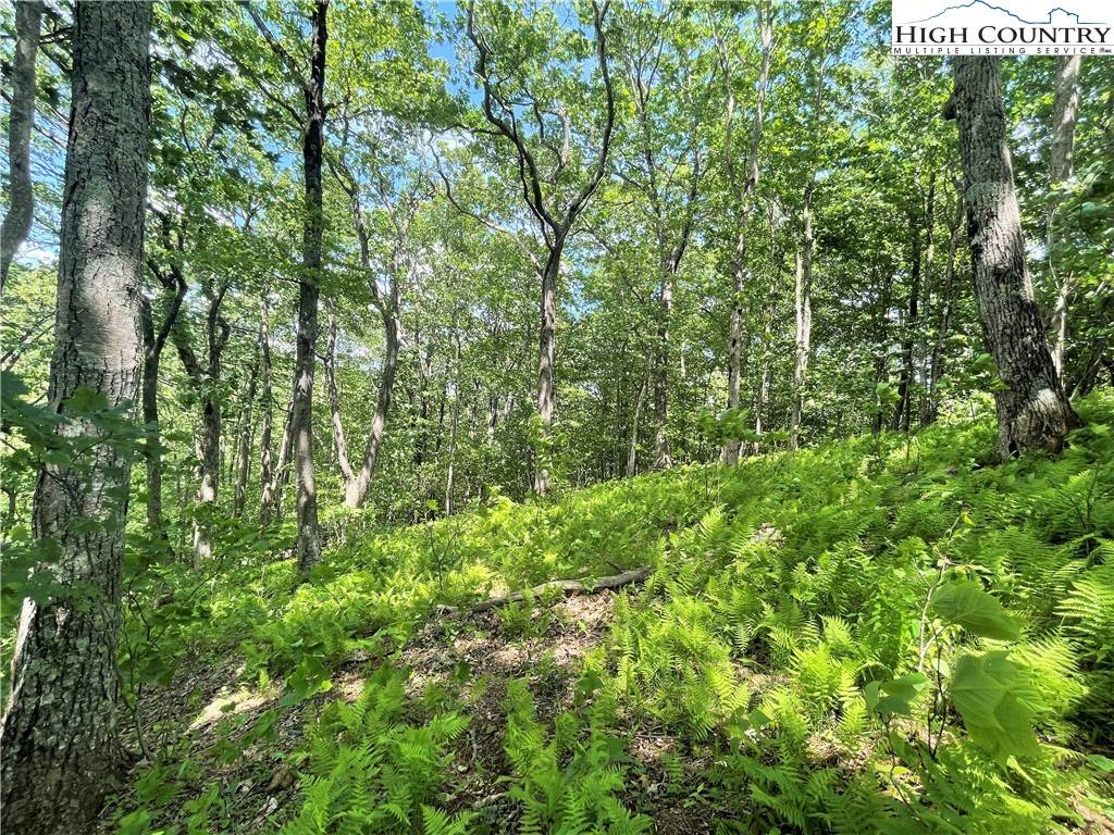 Boone, NC 28607,Lot 66 Bob Timberlake DR