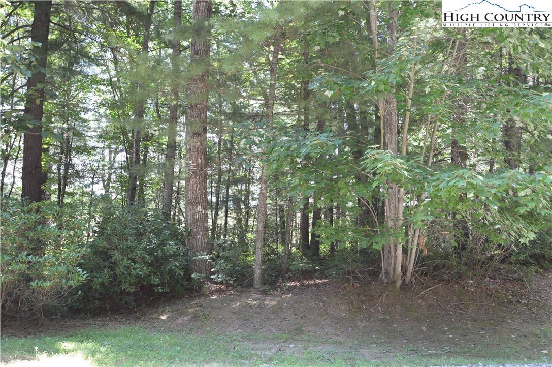 Sparta, NC 28675,Lot #6 Cubs LN