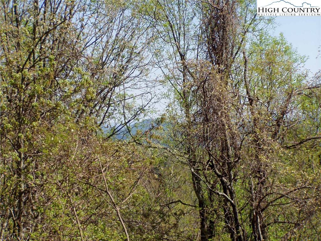 Lenoir, NC 28645,TBD HWY 321 HWY