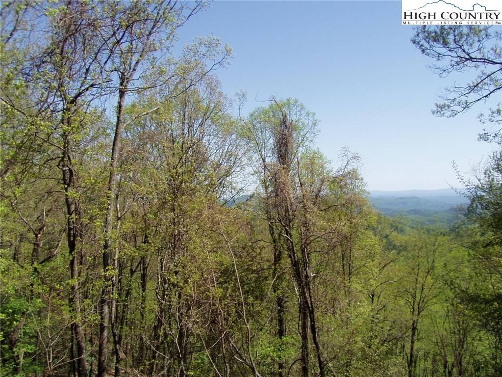 Lenoir, NC 28645,TBD HWY 321 HWY