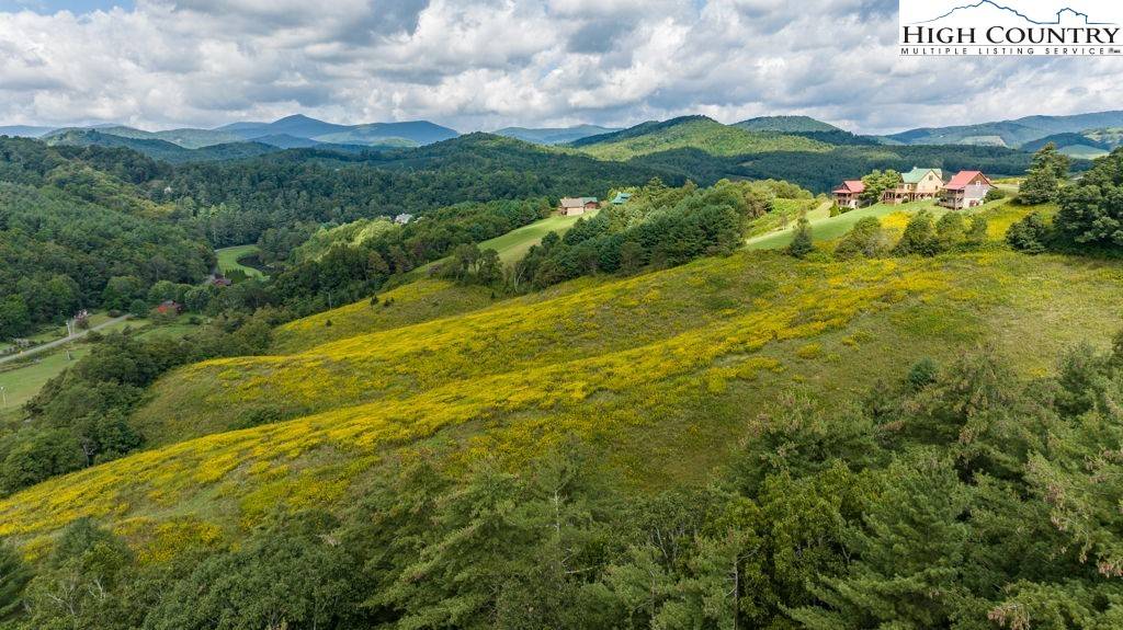 Fleetwood, NC 28626,34 Acres Cranberry Springs RD