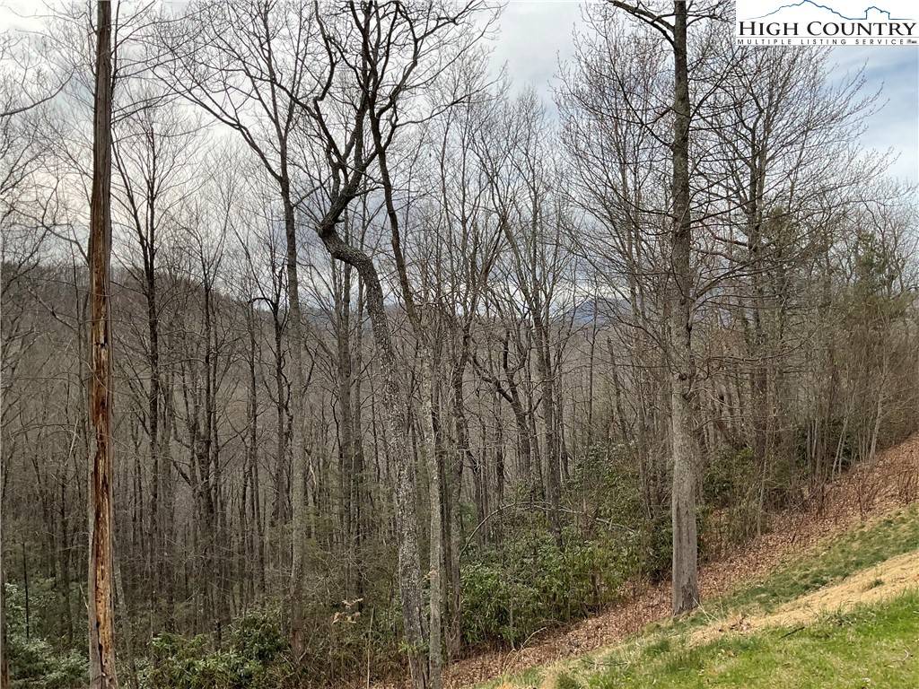 Boone, NC 28607,#32 South Creek DR