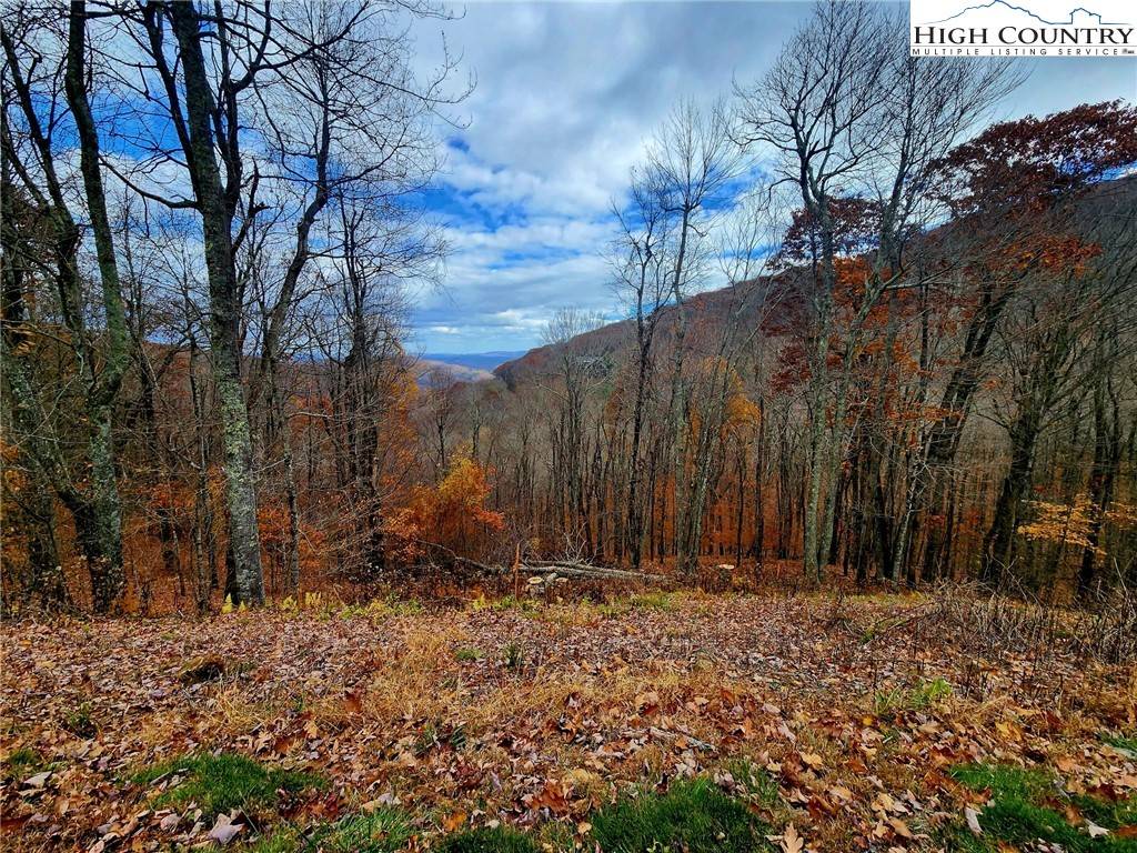 Boone, NC 28607,Lot 63 Bob Timberlake DR