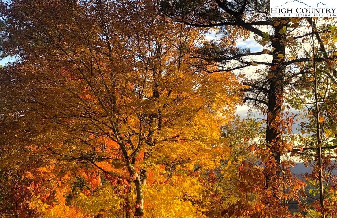 Ferguson, NC 28624,Lot 1005 Reynolds Pkwy