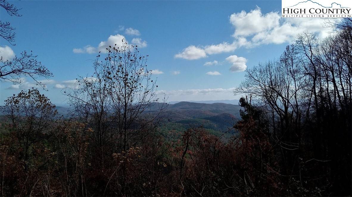 Purlear, NC 28665,Tbd Lump RD