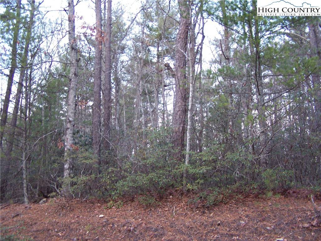 Deep Gap, NC 28618,TBD Roaring Ridge RD