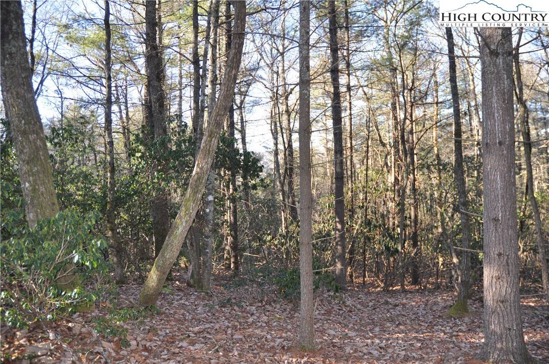 West Jefferson, NC 28694,TBD Thoreau CT