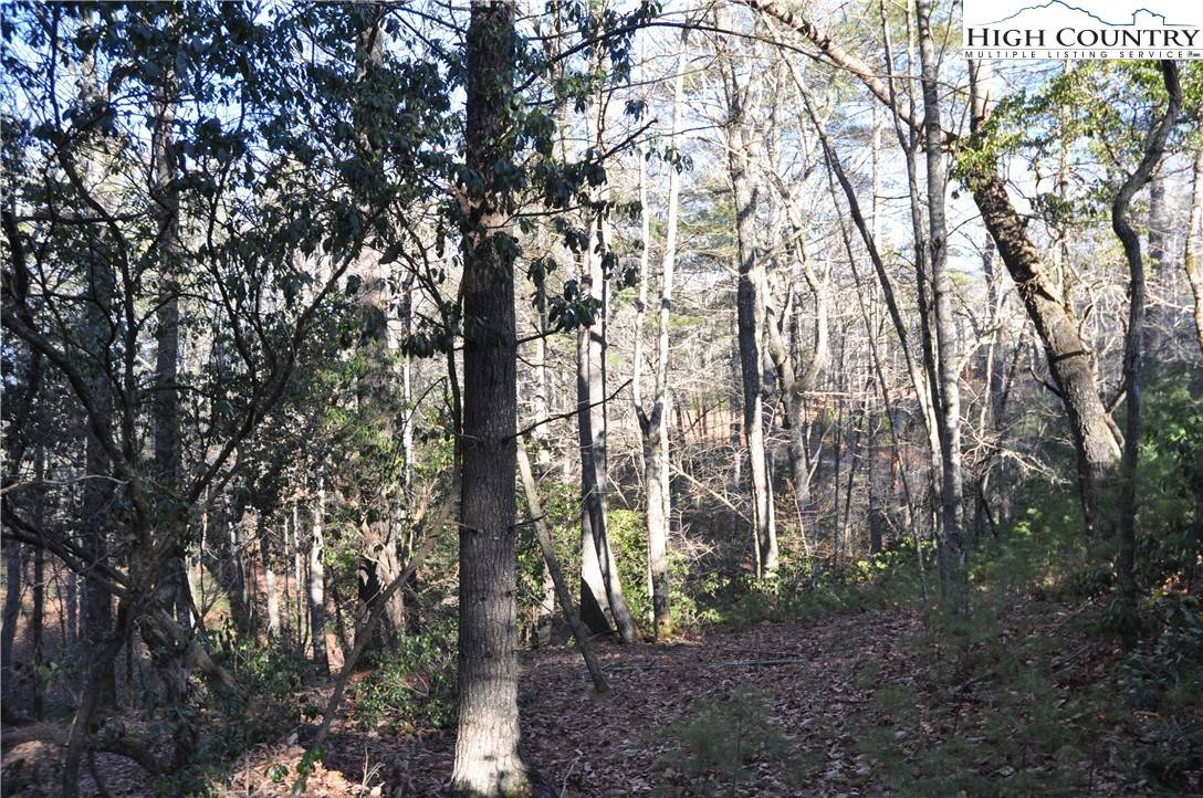 West Jefferson, NC 28694,TBD Thoreau CT