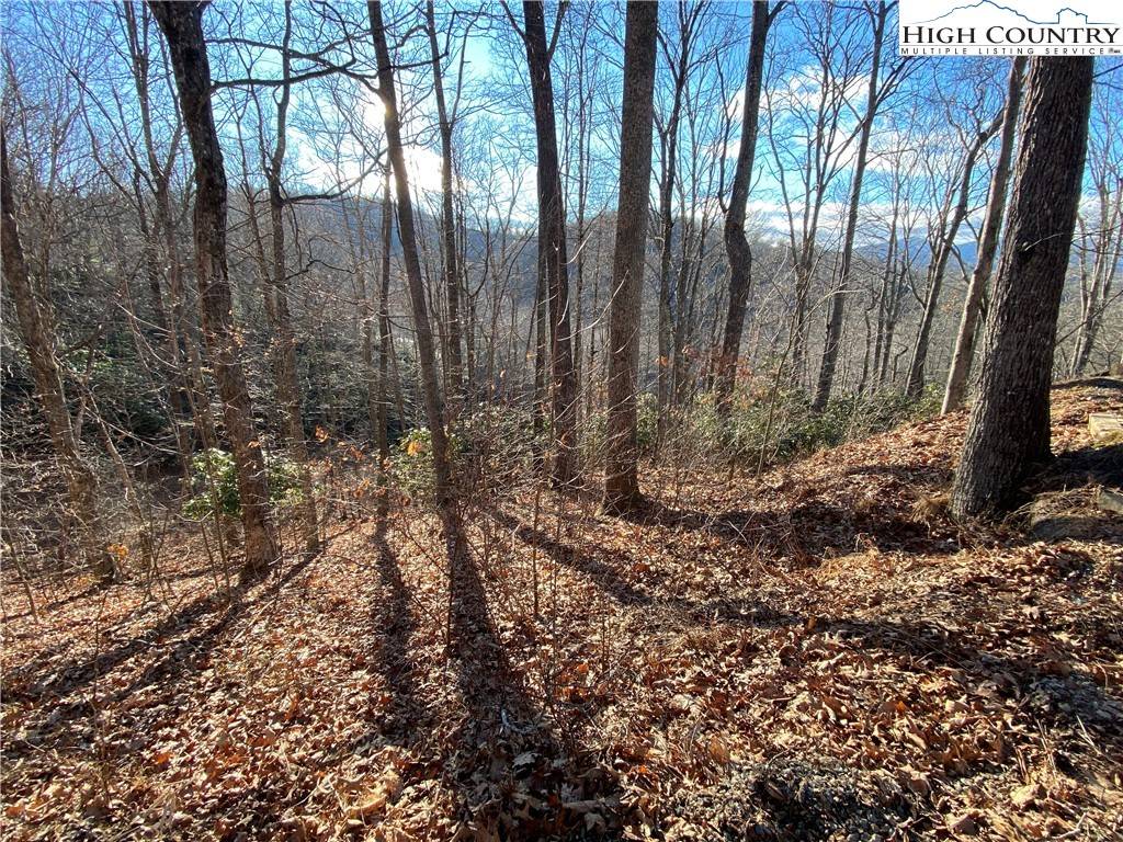 Boone, NC 28607,TBD Tanner RD
