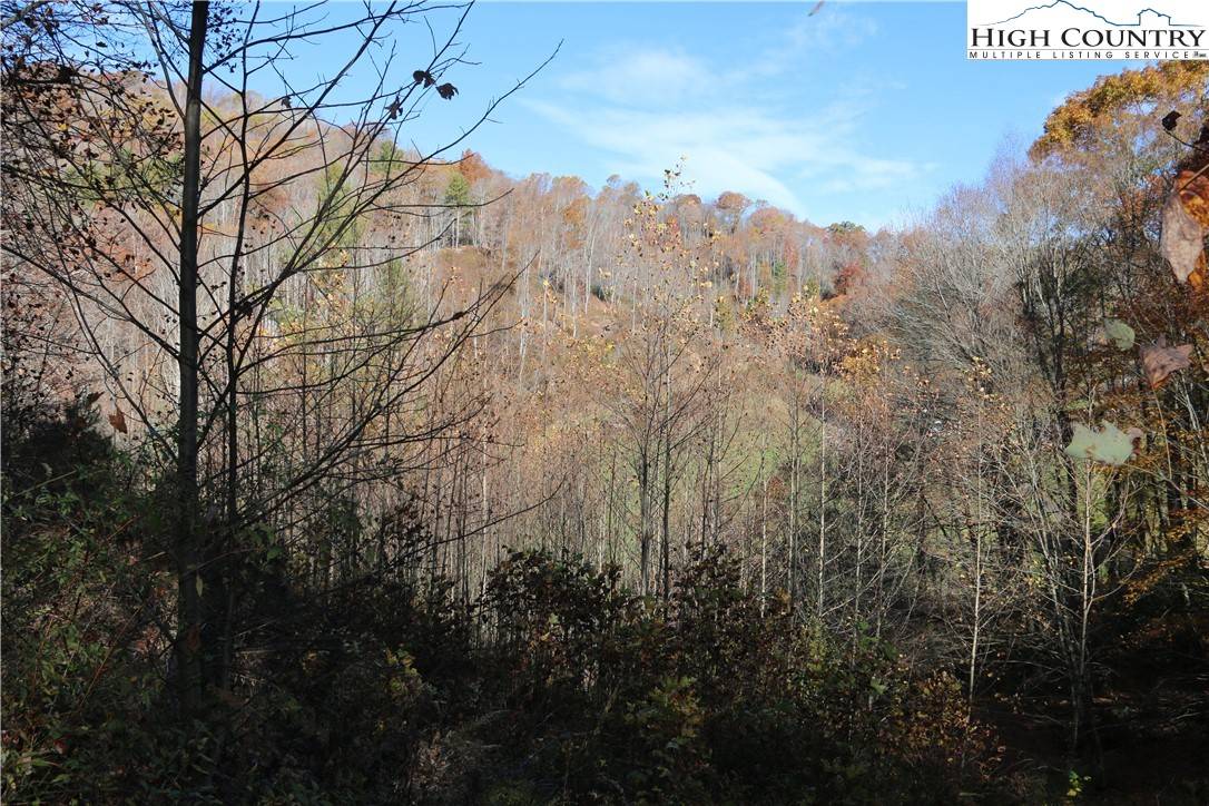 Warrensville, NC 28693,TBD Glenn Miller RD