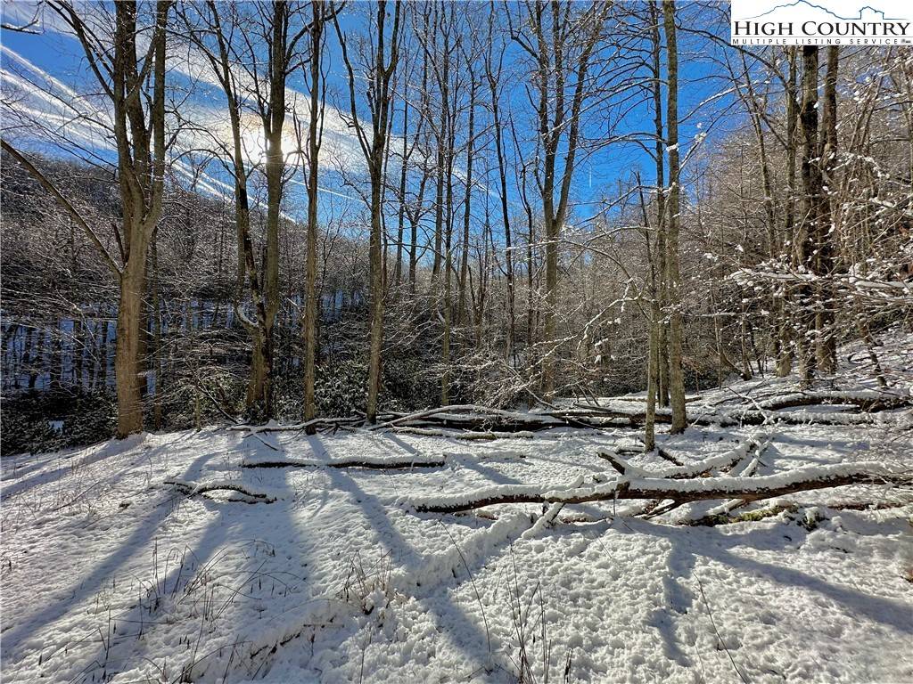 Blowing Rock, NC 28605,104 Gray Cliffs WAY