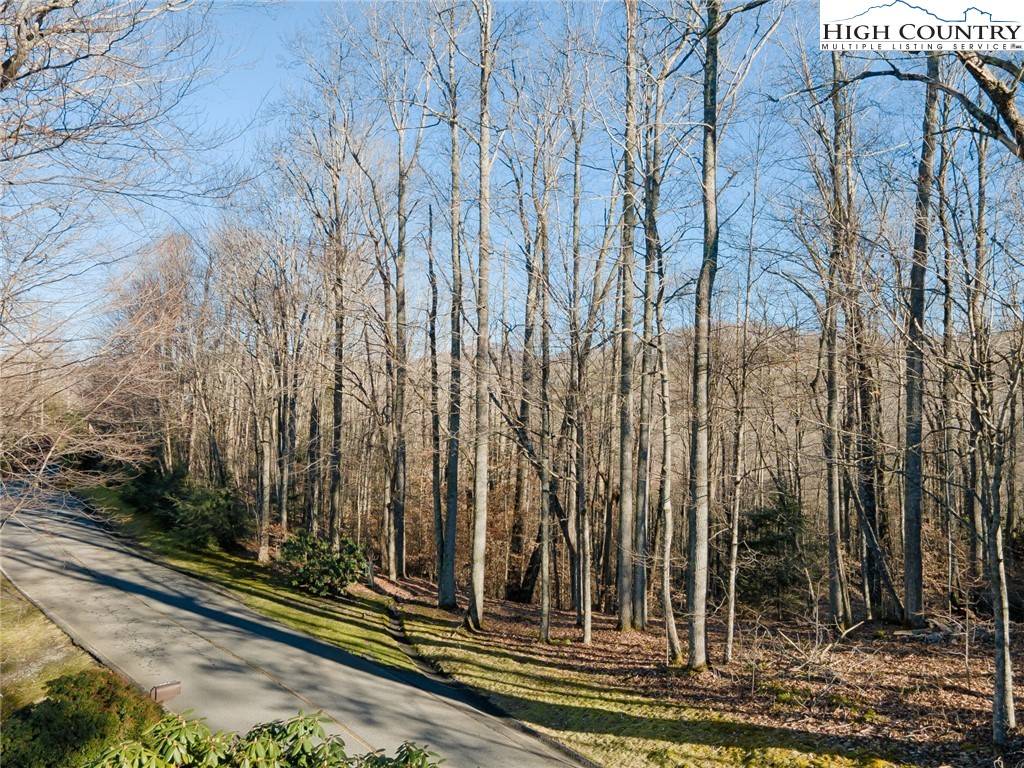 Banner Elk, NC 28604,52 Raven Ridge RD