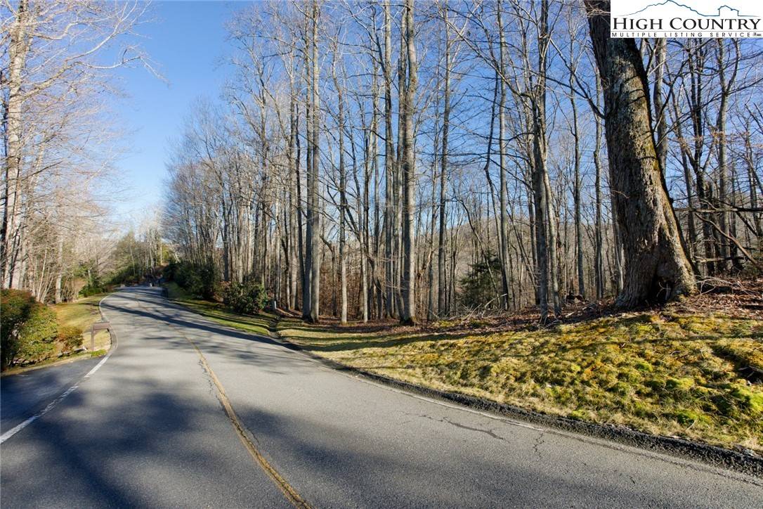 Banner Elk, NC 28604,52 Raven Ridge RD