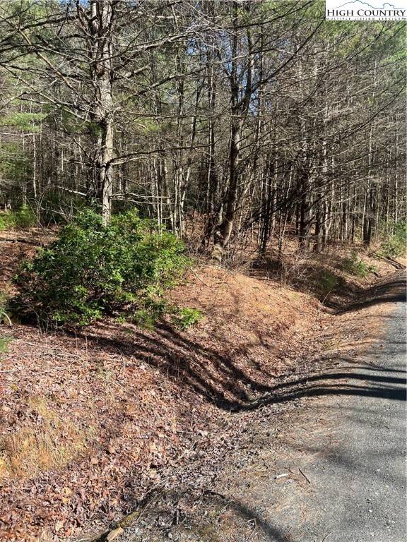 Jefferson, NC 28640,Lot 98 and 99 Colby Miller RD