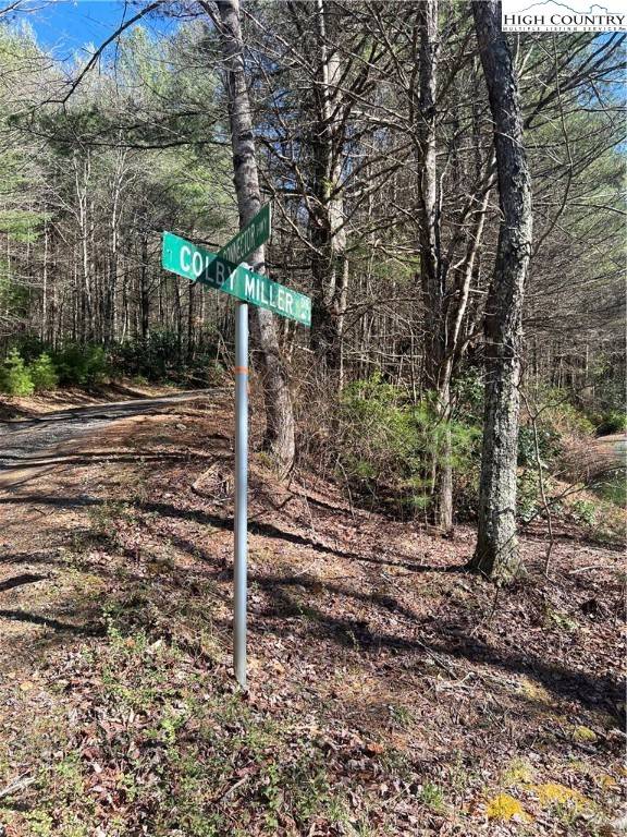 Jefferson, NC 28640,Lot 98 and 99 Colby Miller RD
