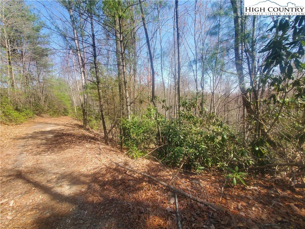 West Jefferson, NC 28694,TBD Falcon Ridge TRL