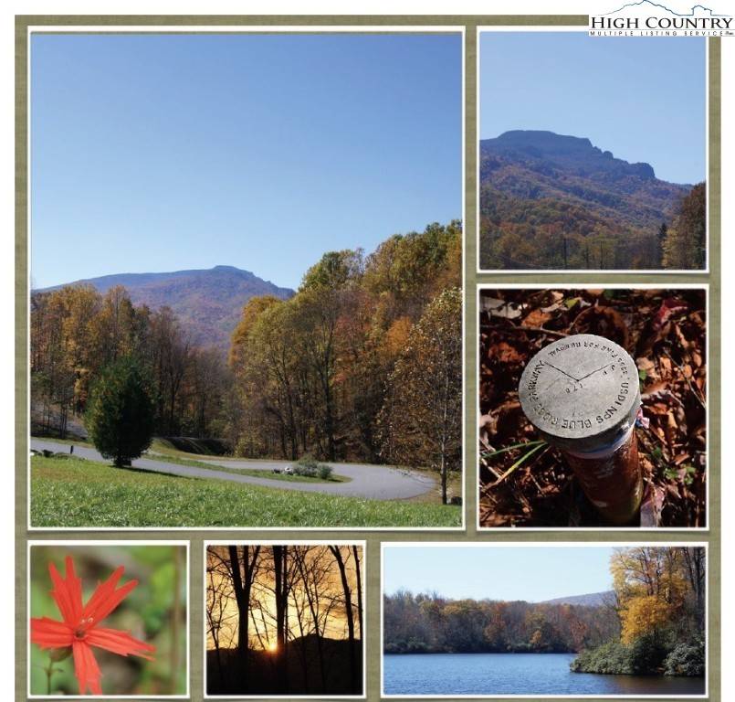 Boone, NC 28607,6 Jackson Ridge RD