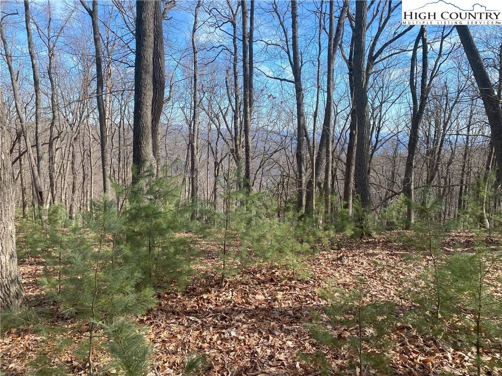 Roaring Gap, NC 28668,TBD Troon AVE #178